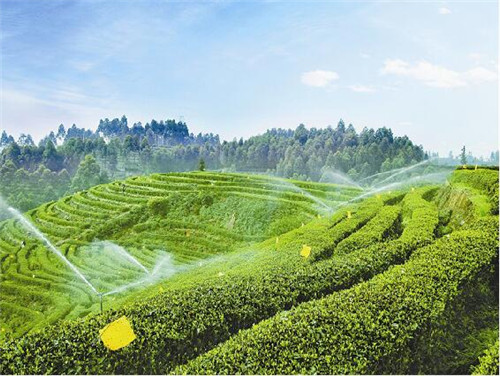 噴水帶節(jié)水灌溉工程施工