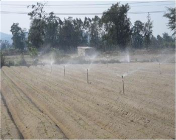 專(zhuān)業(yè)的技術(shù)支持，及時(shí)免費(fèi)客服服務(wù)！