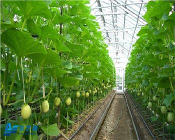 西安PE管是如何連接的？