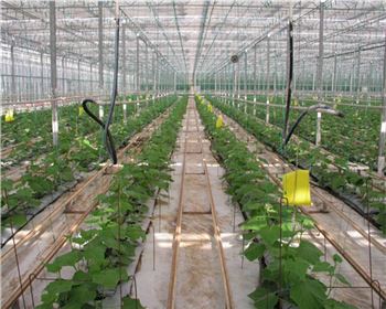 西安噴灌設備廠家簡述噴灌設備的系統(tǒng)種類