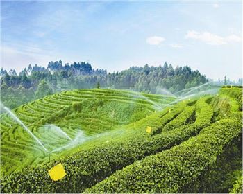 西安節(jié)水灌溉工程大型噴灌機使用時的注意事項