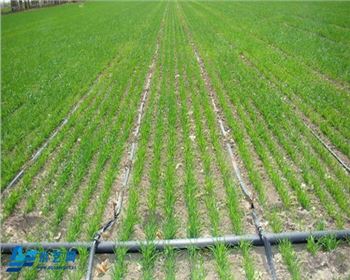 陜西興何節(jié)水灌溉再生PE生產(chǎn)滴灌管常見問題及解決方法