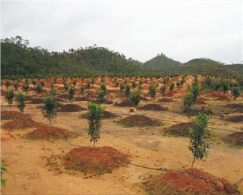 興何節(jié)水助力首府水利重點工程 高效節(jié)水灌溉工程建設